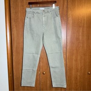 Everlane Way High Slim Organic Cotton 31 Short Aqua Grey